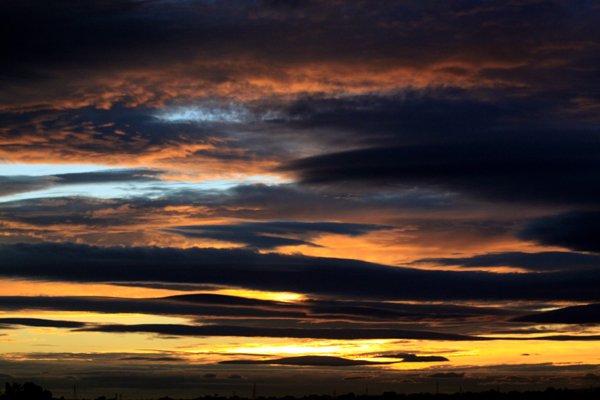 Landschap
