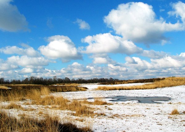 Landschap