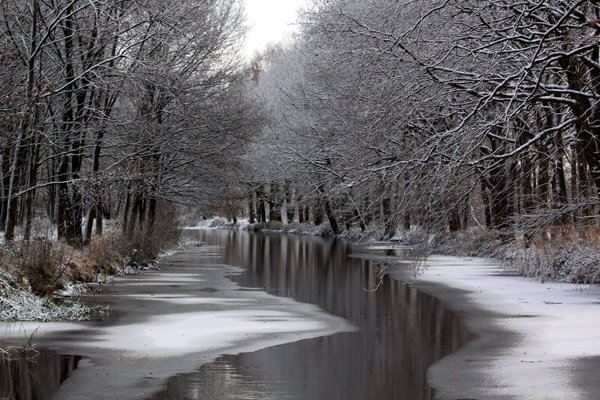 Landschap