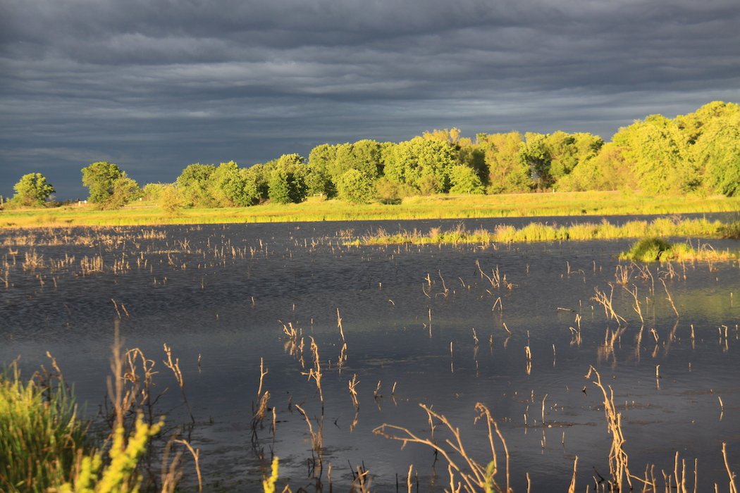 Landschap
